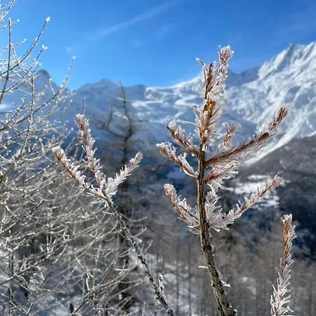 Alpenrose شقة