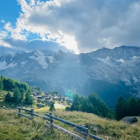 Alpenrose Saas-Grund